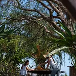 Quinta Da Fonte Calheta (Madeira)
