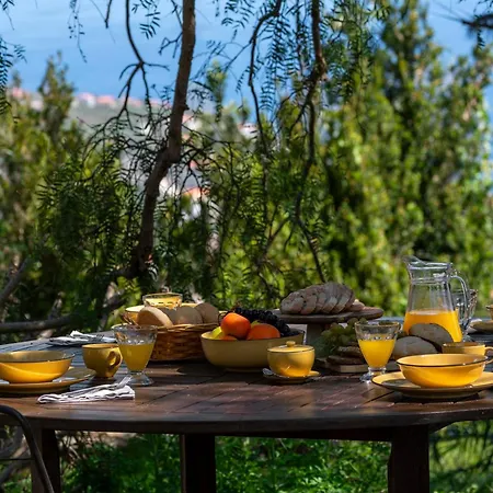 Quinta Da Fonte * Calheta (Madeira)