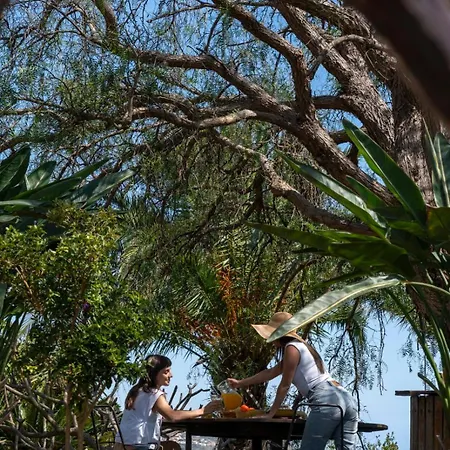 Quinta Da Fonte Calheta (Madeira)