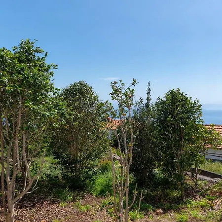 Quinta Da Fonte Holiday home *